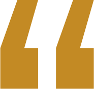 A yellow and black logo with the number 14 on it for a wakesurf boat.